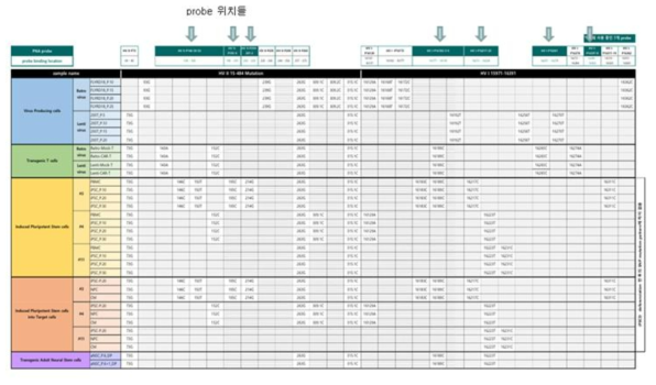 7개의 PNA probe 위치에 대한 cell line mtDNA HVⅠ, Ⅱ 염기서열 변이들