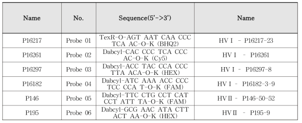 Information of PNA probe