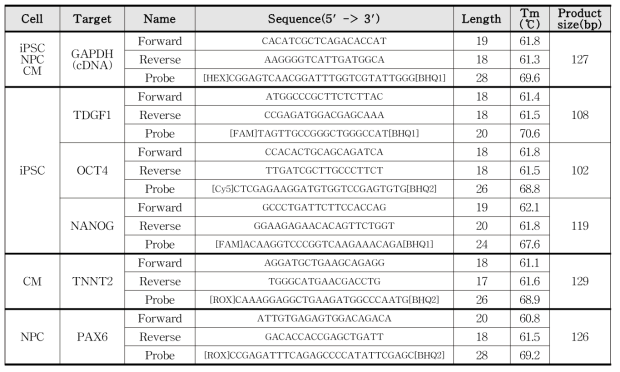 iPSC, CM, NPC 검출용 프라이머, 프로브 서열