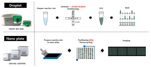대표적인 디지털 PCR 분석 장비 및 분석 과정
