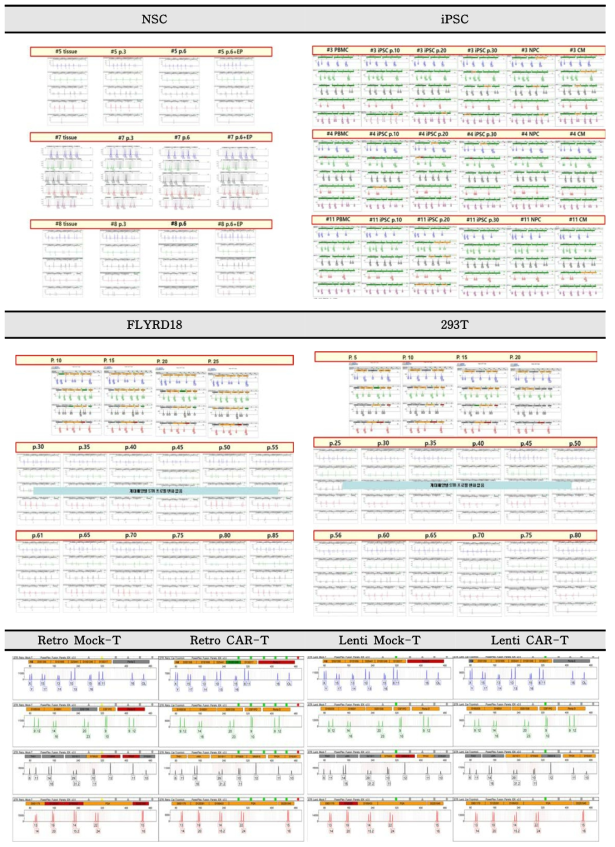 NSC, iPSC, FLYRD18, 293T의 계대배양, 유전자도입, 분화에 따른 STR profiles