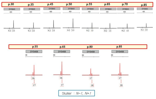 FLYRD18 계대배양 별 Y-STR profile 변화(stutter +1/-1 현상)