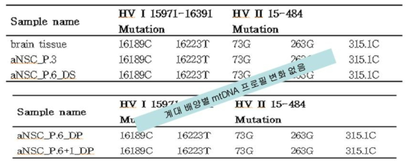 NSC 세포의 계대배양 및 유전자도입에 따른 mtDNA 유전적 안정성