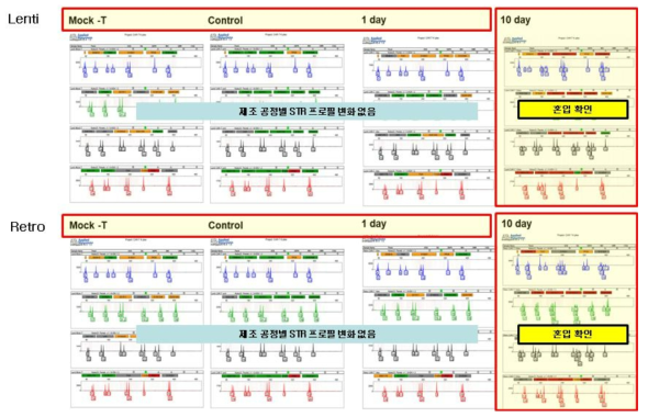 Lenti 바이러스 기반 세포와 Retro 바이러스 기반 세포의 혼입 유도 결과