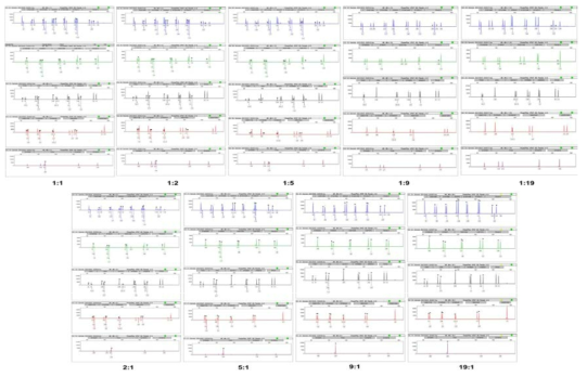 #5와 #8의 혼합 비율별 STR profile