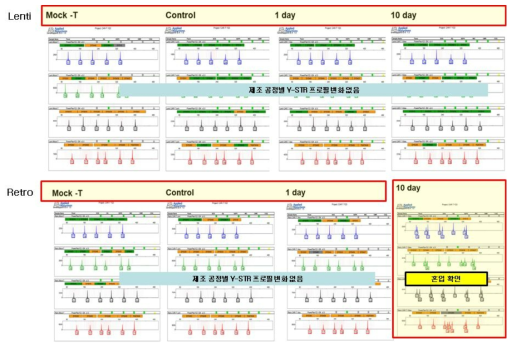 Lenti 바이러스 기반 세포와 Retro 바이러스 기반 세포의 혼입 유도 결과