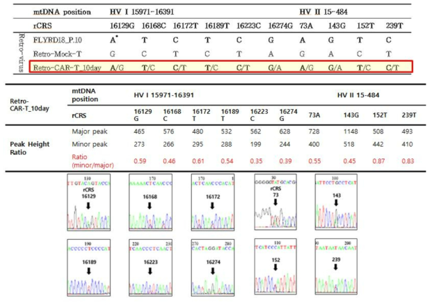 세포 혼입에 따른 mtDNA 헤테로플라스미 검출