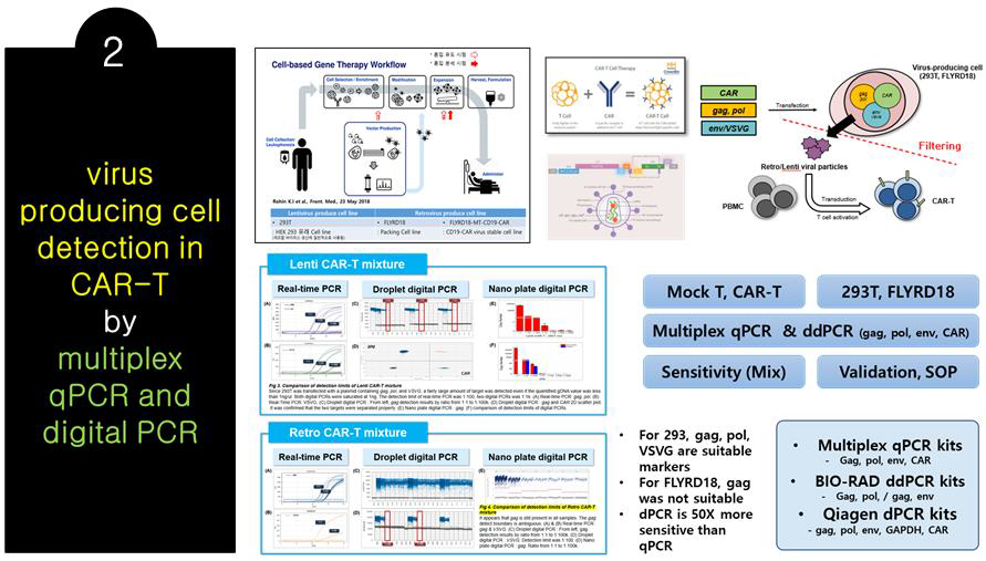 Multiplex qPCR과 digital PCR을 이용한 바이러스 생산세포 검출