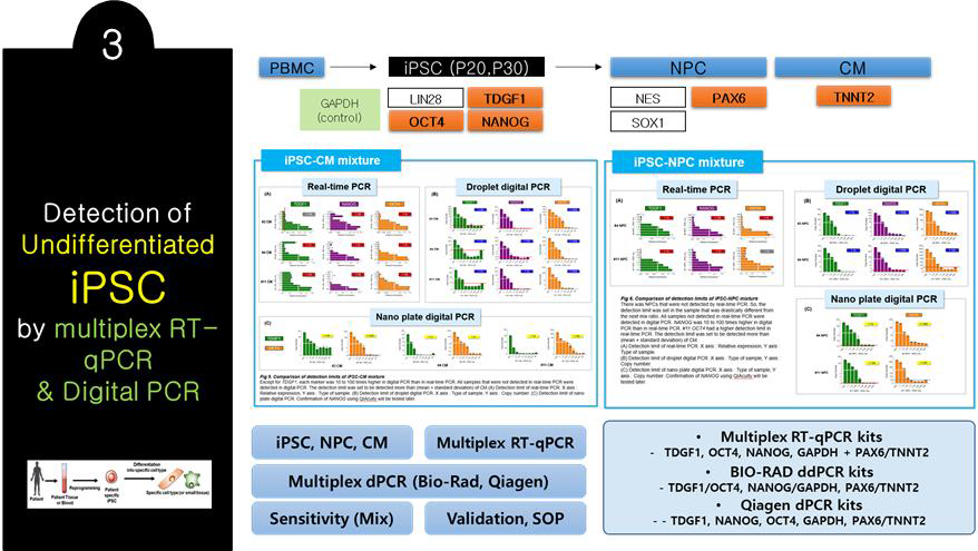 Multiplex RT-qPCR과 digital PCR을 이용한 미분화 iPSC 검출
