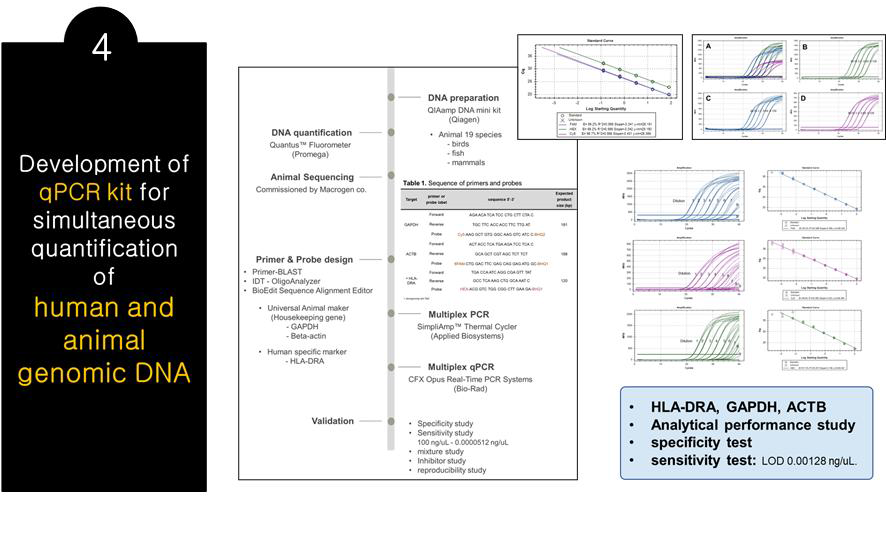 동물 gDNA 정량을 위한 multiplex qPCR