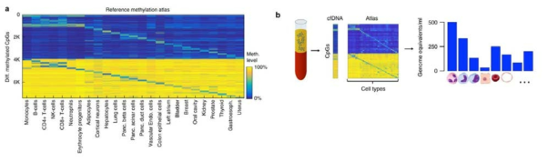 조직 및 세포 특이적 DNA 메틸화 프로파일(reference methylation atlas)을 이용한 cell-free DNA의 tissue-of-origin 분석 방법(Moss et al. Nat Commu. 2018)