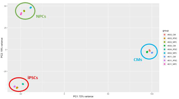 RNA-seq를 이용하여 나타낸 PCA plot