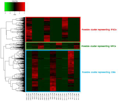 RNA-seq를 이용하여 나타낸 Heatmap