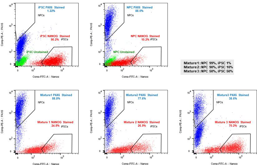 FACS를 이용한 iPSC-NPC 샘플 혼입 확인