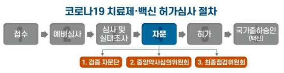 코로나19 치료제 및 백신 허가심사 절차