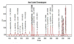 액체크로마토그래프를 이용한 아미노산 표준품 크로마토그램