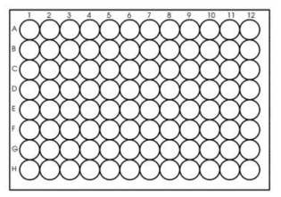 96-well plate