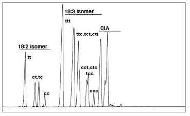 18:2 및 18:3 트랜스, 시스 이성체 표준물질 및 CLA의 크로마토그램