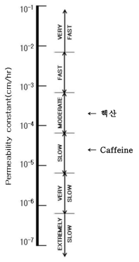 Human cadaver Full(Epidermis & Dermis)의 투과비교