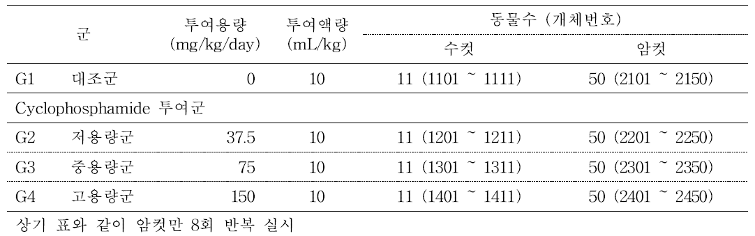 1차 시험 진행 시 군구성