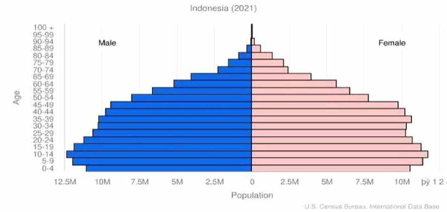 인도네시아 인구분포도