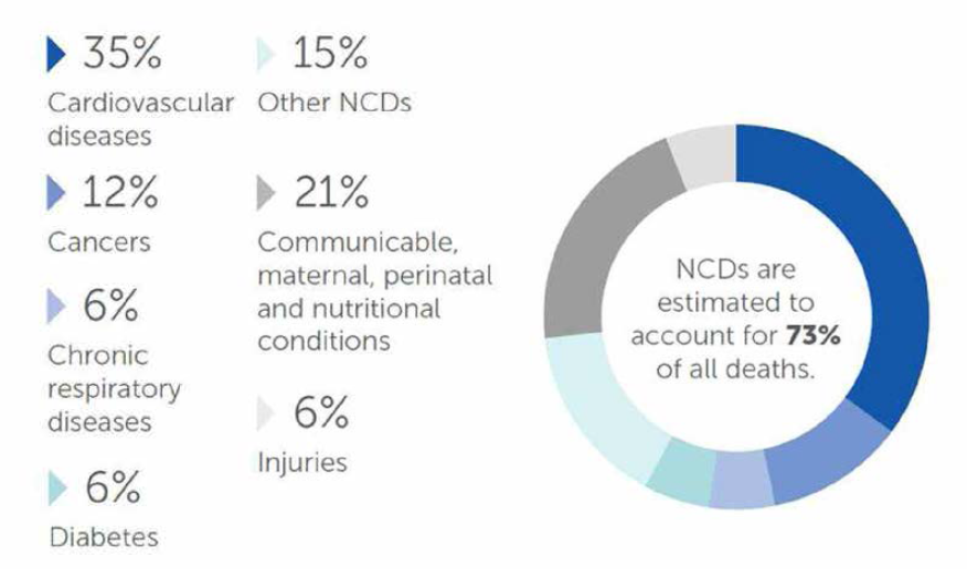 인도네시아 주요 사망 원인 출처 : World Health Organization(WHO)-Noncommunicable Diseases (NCD) Country Profiles, 2018
