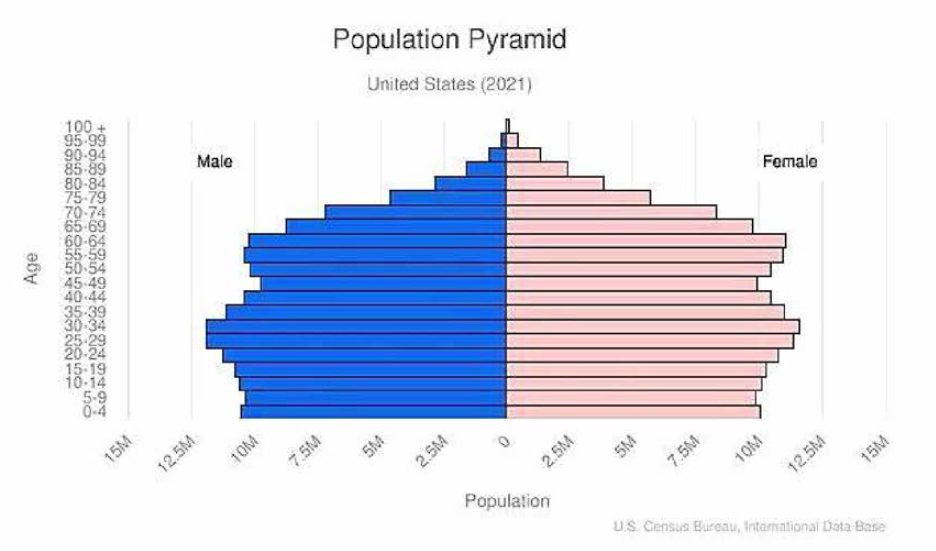 미국 연령별 인구 분 포