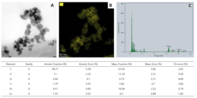 인공피부조직 내 Fe2O3 나노물질. A: TEM image B: TEM mapping C: TEM EDS point