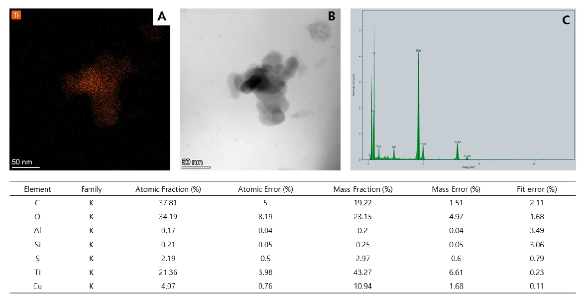 인공피부조직 내 TiO2 나노물질. A: TEM image B: TEM mapping C: TEM EDS point