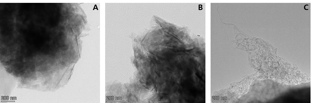 인공피부조직 내 탄소계 나노물질 TEM image. A:GNP300, B:GNP500, C: MWCNT