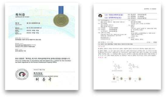 등록특허(접목 중합을 이용한 양극성 제올라이트 합성방법, 2016)