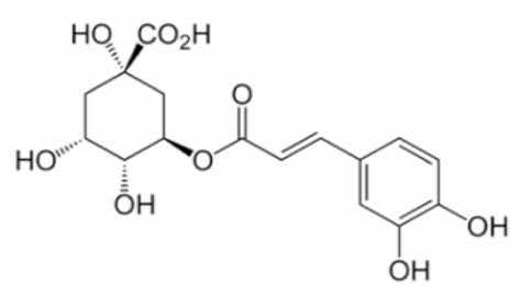 클로로겐산 구조