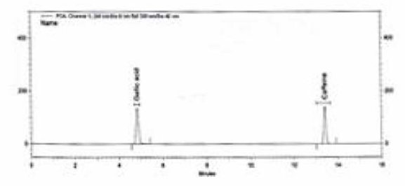 카페인 및 갈릭산 표준용액 크로마토그램