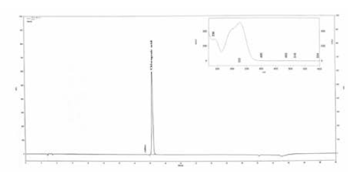클로로겐산 표준폼 크로마토그램.