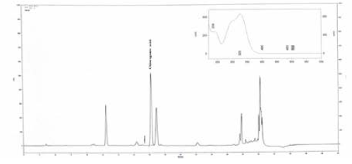 건강기능식품 중 클로로겐산 크로마토그램