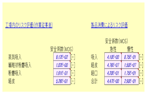 위해성평가 결과 예시