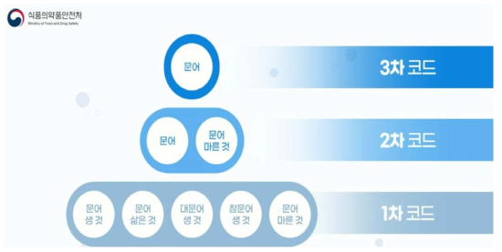 국민건강영양조사 코드