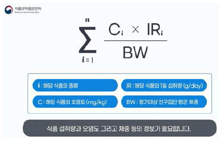 식품 노출량 산출 공식