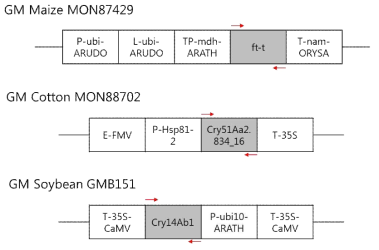 유전자변형 옥수수 (MON87429), 면화 (MON88702), 콩 (GMB151)의 카세트