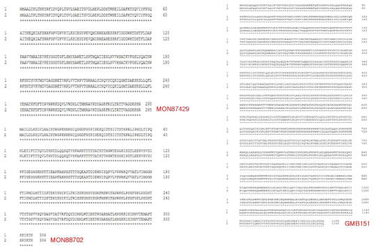 유전자변형 옥수수(MON87429)와 유전자변형 면화(MON88702) 단백질 서열 검증