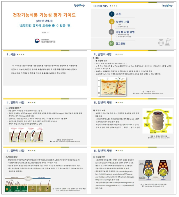 모발건강 평가 가이드 PPT(일부)