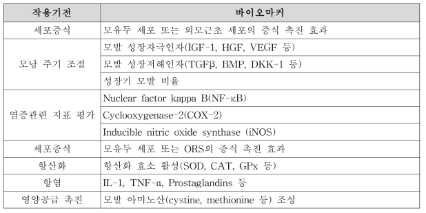 모발건강-작용기전