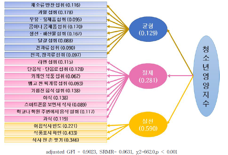 청소년 영양지수 모형 및 가중치