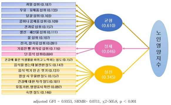 노인 영양지수 모형 및 가중치