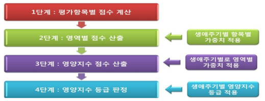 영양지수 점수 산출 과정