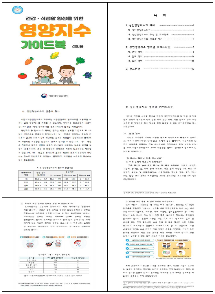 영양지수 가이드북 구성 내용 (성인용 가이드북)