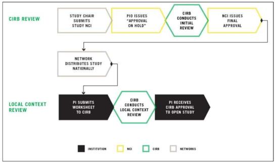 NCI CIRB overview of the study process