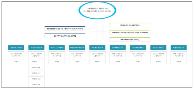 가톨릭대학교 중앙의료원 중앙 IRB(CIRB) 조직도