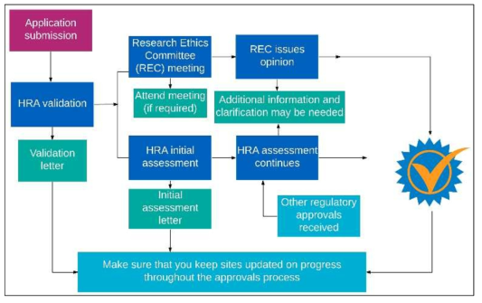 the main steps in gaining HRA Approval