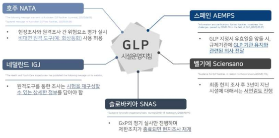 그 외 해외 규제기관의 비임상시험 비대면 실태조사 운영현황